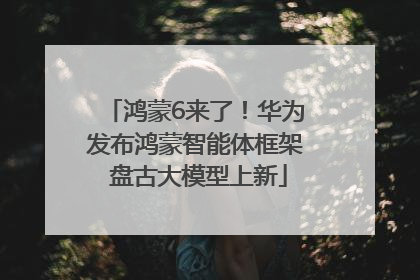 鸿蒙6来了！华为发布鸿蒙智能体框架 盘古大模型上新
