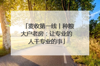 麦收第一线丨种粮大户老房：让专业的人干专业的事