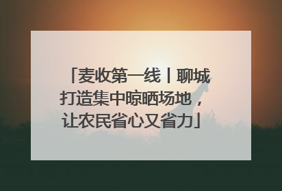 麦收第一线丨聊城打造集中晾晒场地，让农民省心又省力