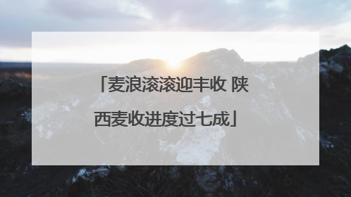 麦浪滚滚迎丰收 陕西麦收进度过七成