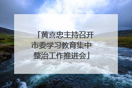 黄喜忠主持召开市委学习教育集中整治工作推进会