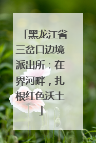 黑龙江省三岔口边境派出所：在界河畔，扎根红色沃土