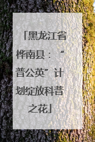 黑龙江省桦南县：“普公英”计划绽放科普之花