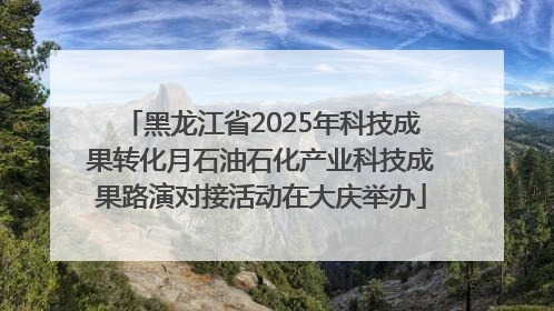 黑龙江省2025年科技成果转化月石油石化产业科技成果路演对接活动在大庆举办