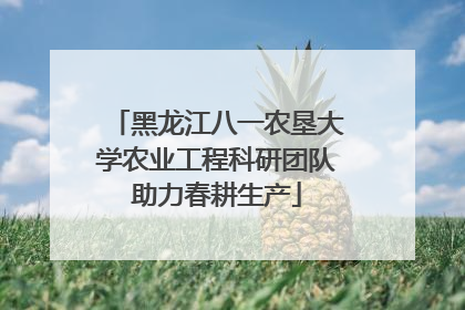 黑龙江八一农垦大学农业工程科研团队助力春耕生产