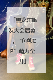 黑龙江旅发大会启幕，“鱼熊CP”萌力全开