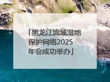 黑龙江流域湿地保护网络2025年会成功举办