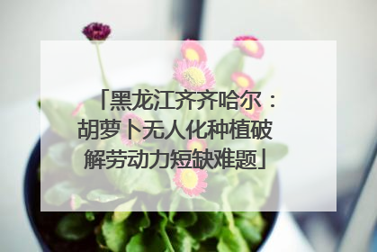 黑龙江齐齐哈尔：胡萝卜无人化种植破解劳动力短缺难题