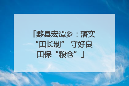 黟县宏潭乡：落实“田长制” 守好良田保“粮仓”