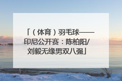 （体育）羽毛球——印尼公开赛：陈柏阳/刘毅无缘男双八强