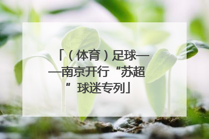 （体育）足球——南京开行“苏超”球迷专列
