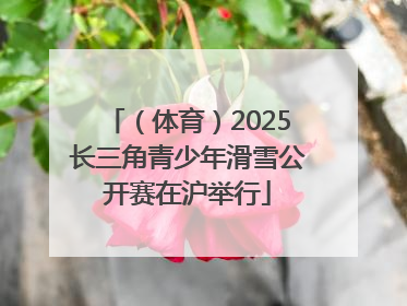 （体育）2025长三角青少年滑雪公开赛在沪举行