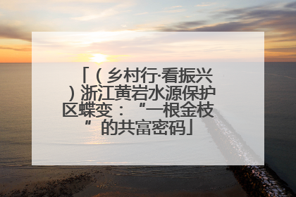 （乡村行·看振兴）浙江黄岩水源保护区蝶变：“一根金枝”的共富密码