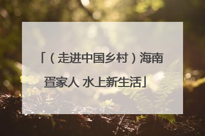 （走进中国乡村）海南疍家人 水上新生活
