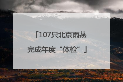 107只北京雨燕完成年度“体检”