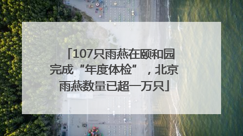 107只雨燕在颐和园完成“年度体检”，北京雨燕数量已超一万只