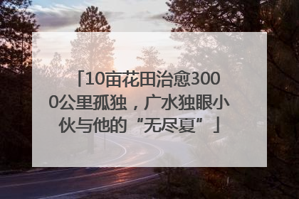 10亩花田治愈3000公里孤独，广水独眼小伙与他的“无尽夏”