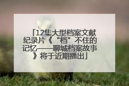 12集大型档案文献纪录片《“档”不住的记忆——聊城档案故事》将于近期播出