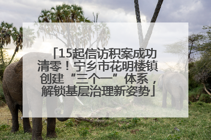 15起信访积案成功清零！宁乡市花明楼镇创建“三个一”体系，解锁基层治理新姿势