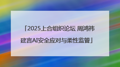 2025上合组织论坛 周鸿祎建言AI安全应对与柔性监管