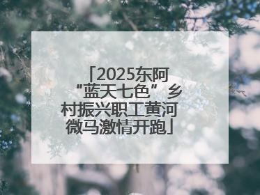 2025东阿“蓝天七色”乡村振兴职工黄河微马激情开跑