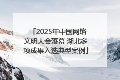 2025年中国网络文明大会落幕 湖北多项成果入选典型案例