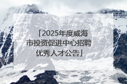 2025年度威海市投资促进中心招聘优秀人才公告