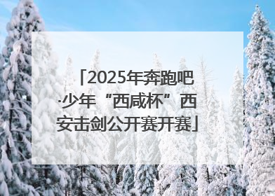 2025年奔跑吧·少年“西咸杯”西安击剑公开赛开赛