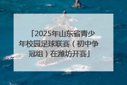 2025年山东省青少年校园足球联赛（初中争冠组）在潍坊开赛