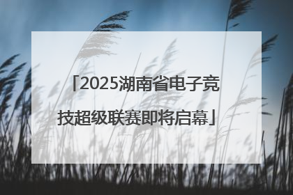 2025湖南省电子竞技超级联赛即将启幕