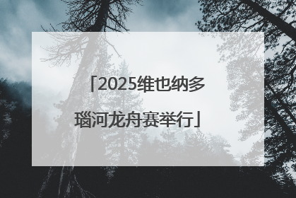 2025维也纳多瑙河龙舟赛举行