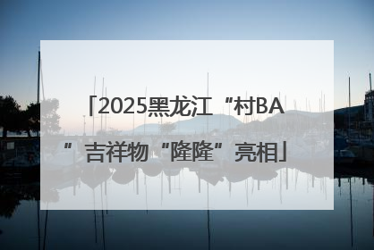 2025黑龙江“村BA”吉祥物“隆隆”亮相
