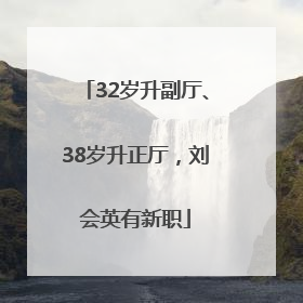 32岁升副厅、38岁升正厅，刘会英有新职