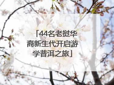 44名老挝华裔新生代开启游学普洱之旅