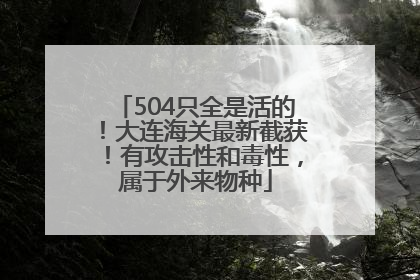 504只全是活的！大连海关最新截获！有攻击性和毒性，属于外来物种