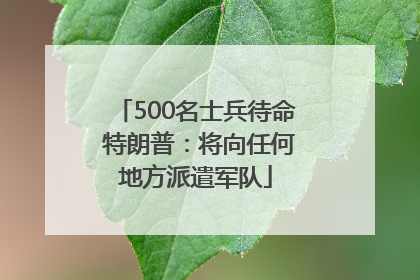 500名士兵待命 特朗普：将向任何地方派遣军队