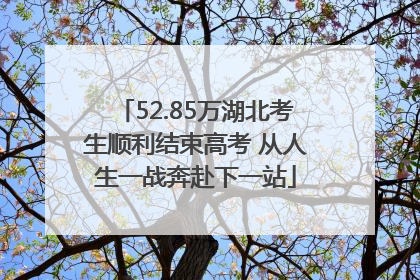 52.85万湖北考生顺利结束高考 从人生一战奔赴下一站