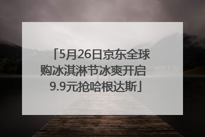 5月26日京东全球购冰淇淋节冰爽开启 9.9元抢哈根达斯