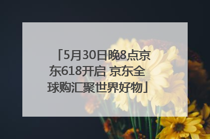 5月30日晚8点京东618开启 京东全球购汇聚世界好物