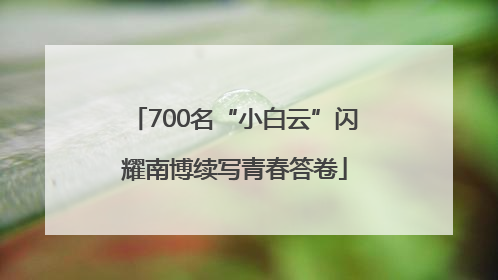700名“小白云”闪耀南博续写青春答卷