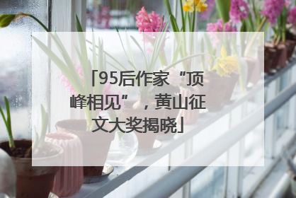 95后作家“顶峰相见”，黄山征文大奖揭晓