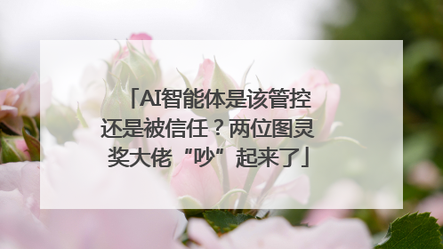 AI智能体是该管控还是被信任？两位图灵奖大佬“吵”起来了