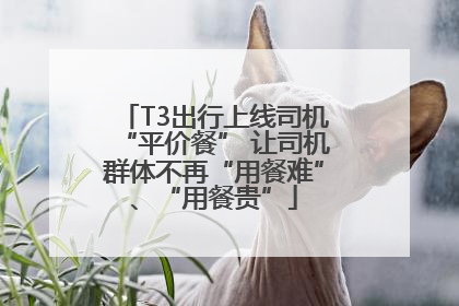 T3出行上线司机“平价餐” 让司机群体不再“用餐难”、“用餐贵”
